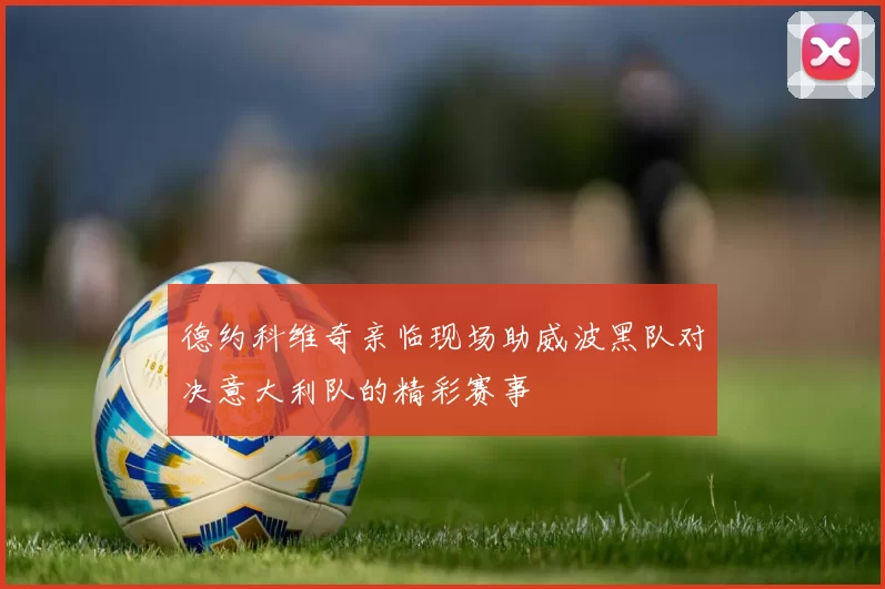 德约科维奇亲临现场助威波黑队对决意大利队的精彩赛事